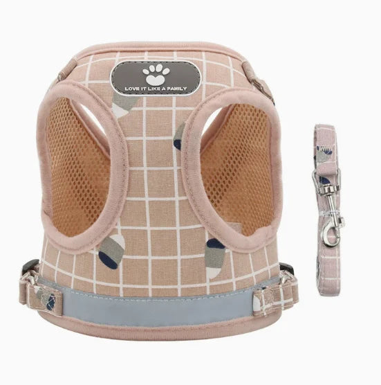 Harnais gilet à carreaux et laisse pour petit chien