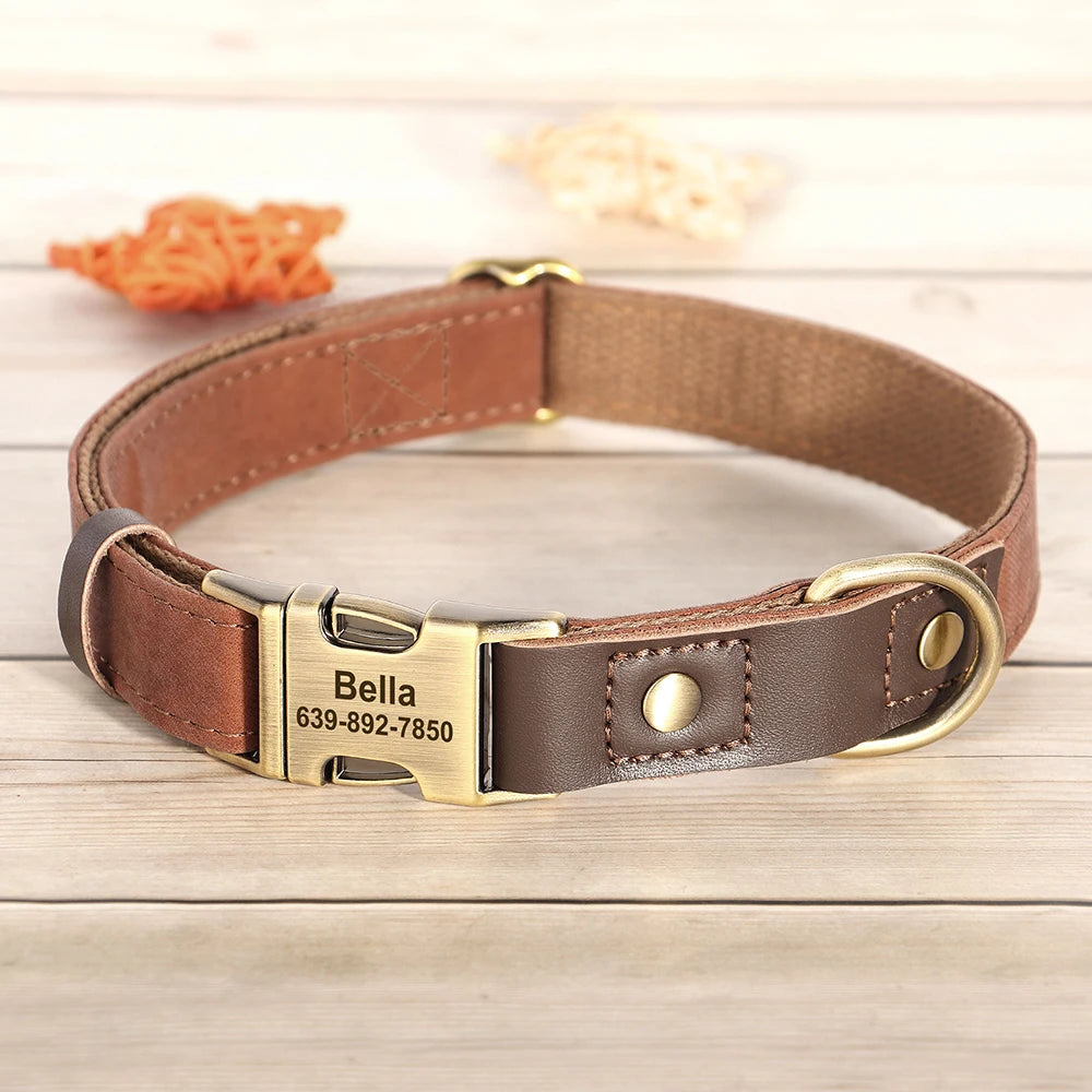 Collier en cuir PU personnalisable pour chien