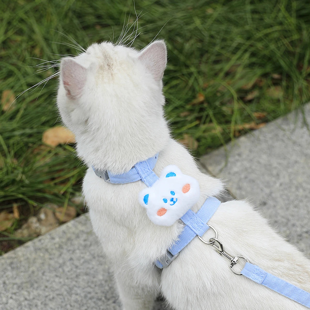 Harnais et laisse pour chat, décor fleur ou animal