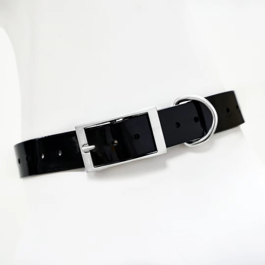 Collier en TPU imperméable pour grand chien