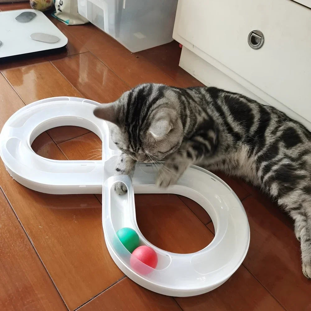 Chat jouant avec un plateau tournant à balles sur un parquet
