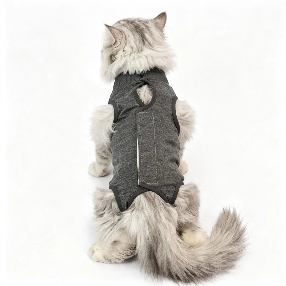 Chat portant une combinaison de protection en maille modal