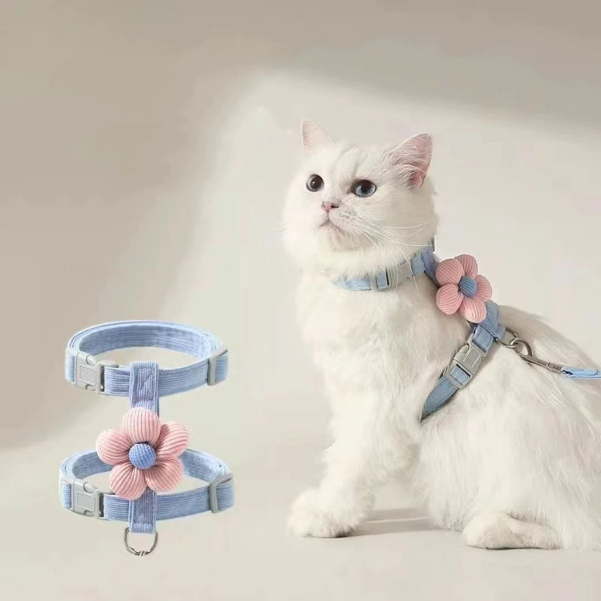 Chat blanc portant un harnais bleu décoré d'une fleur