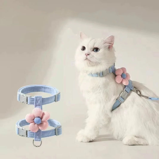 Chat blanc portant un harnais bleu décoré d'une fleur