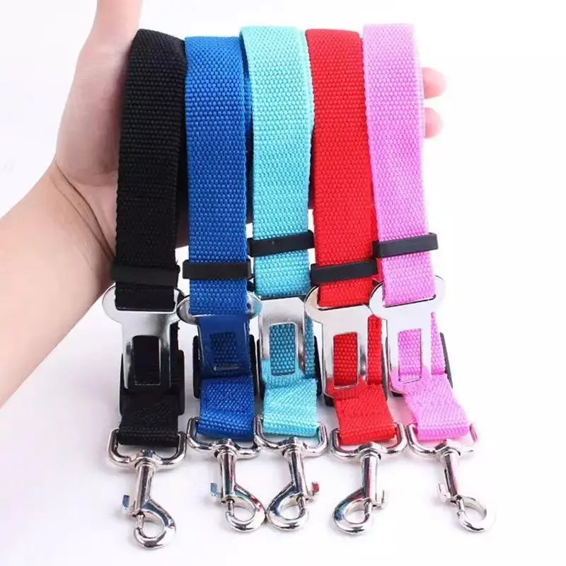 Ceinture de sécurité voiture pour chien