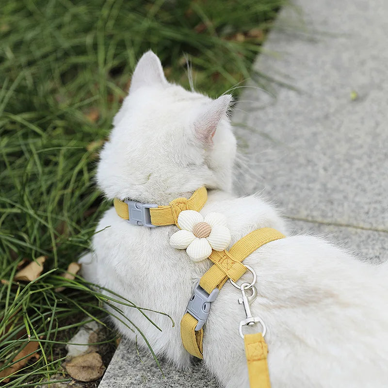 Harnais et laisse pour chat, décor fleur ou animal