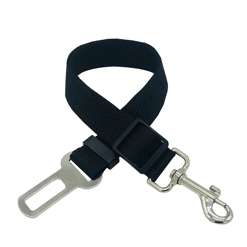 Ceinture de sécurité voiture pour chien