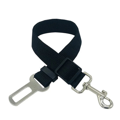 Ceinture de sécurité voiture pour chien