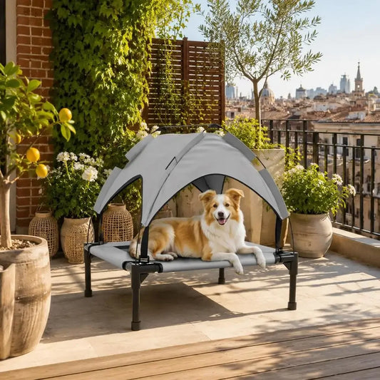 Chien installé sur un lit de camp surélevé avec toit dôme