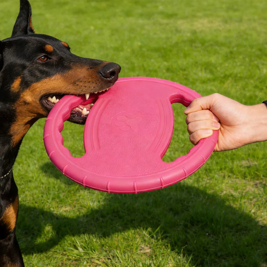 Frisbee souple en mousse EVA de 20 cm pour chien