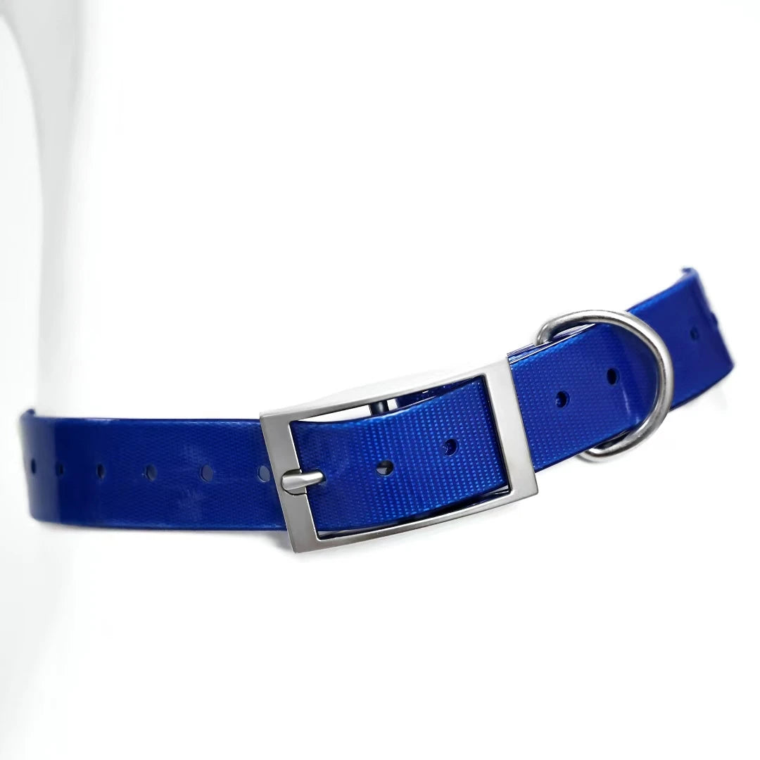 Collier en TPU imperméable pour grand chien
