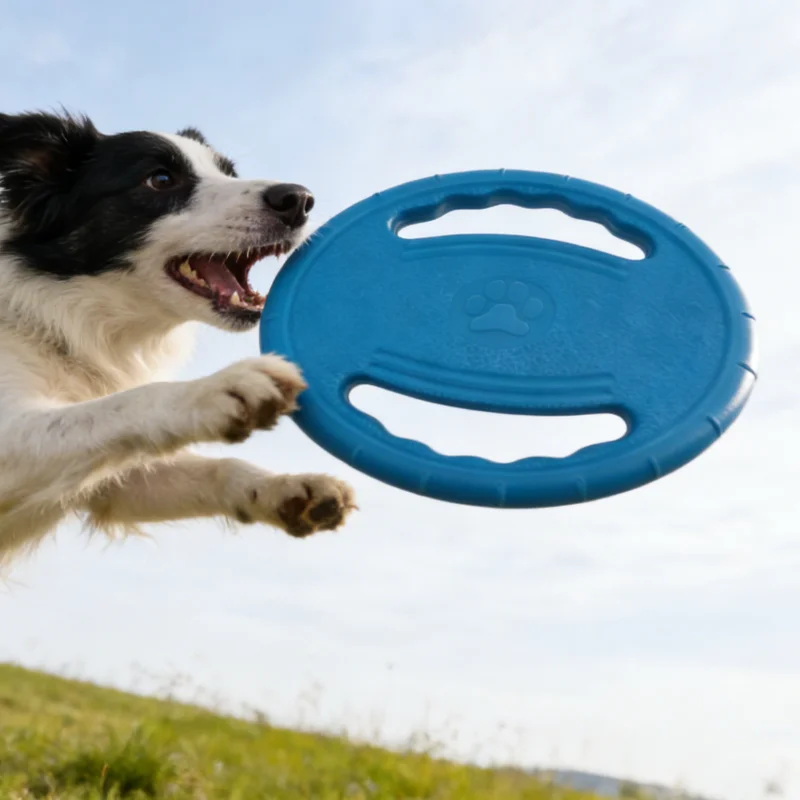 Frisbee souple en EVA pour chien