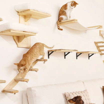 Ensemble mural d'escalade pour chat