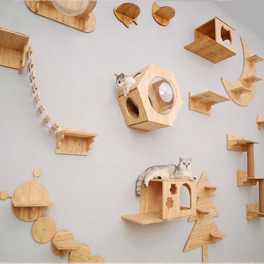 Modules muraux en pin pour chat