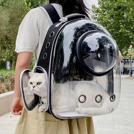Sac à dos de transport à hublot transparent pour chat et petit chien