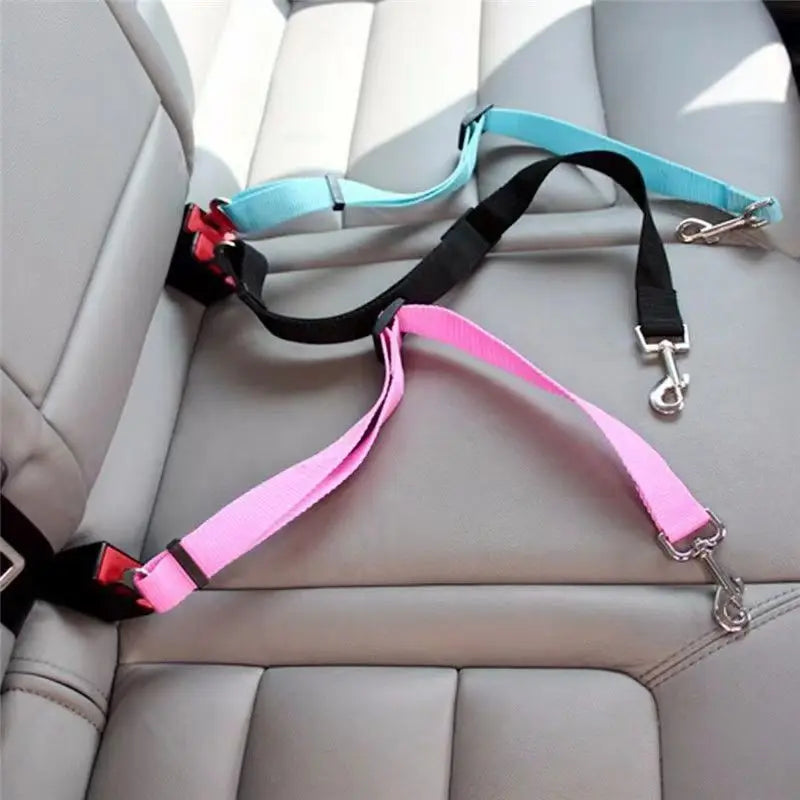 Ceinture de sécurité en nylon reliant le harnais du chien à la voiture