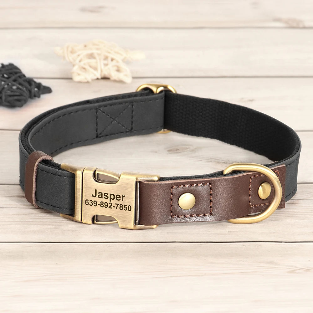 Collier en cuir PU personnalisable pour chien