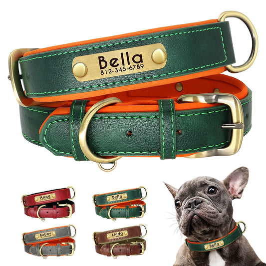 Collier chien matelassé en cuir PU avec plaque d'identité gravée