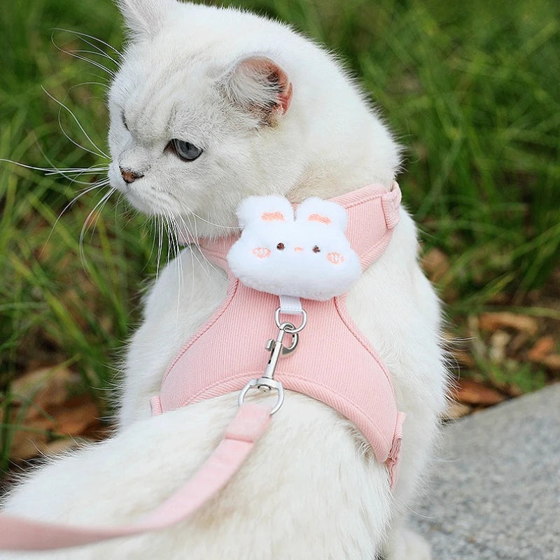 Harnais et laisse pour chat et chaton, décor ourson ou lapin