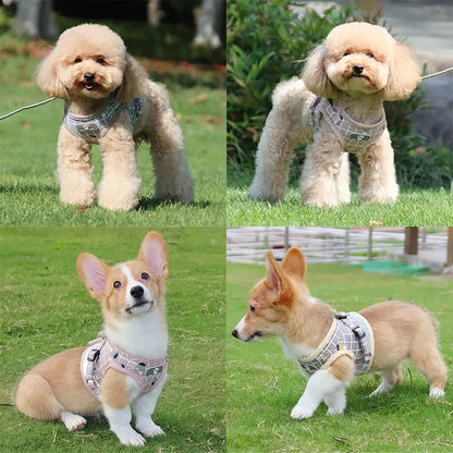 Harnais gilet à carreaux et laisse pour petit chien