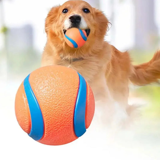 Balle rebondissante en caoutchouc plein pour chien