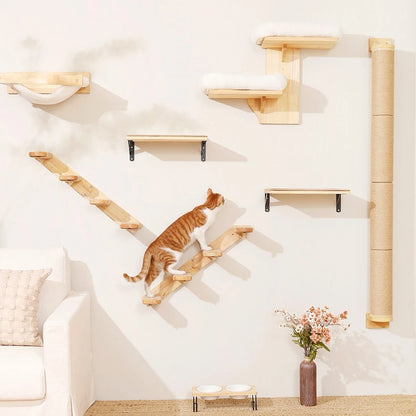 Ensemble mural d'escalade en bois massif pour chat