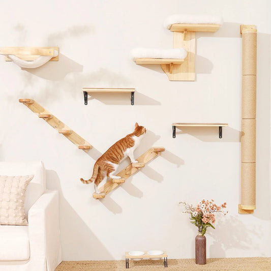 Ensemble mural d'escalade en bois massif pour chat