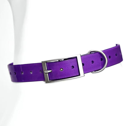 Collier en TPU imperméable pour grand chien