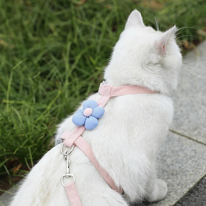 Harnais et laisse pour chat, décor fleur ou animal