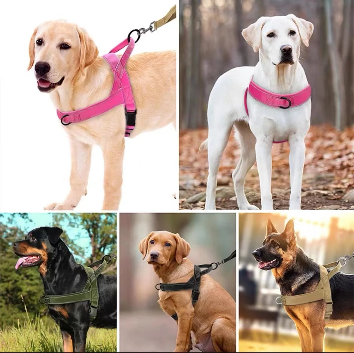 Harnais rembourré sans traction pour grand chien