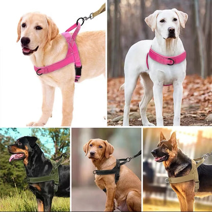 Harnais rembourré sans traction pour grand chien