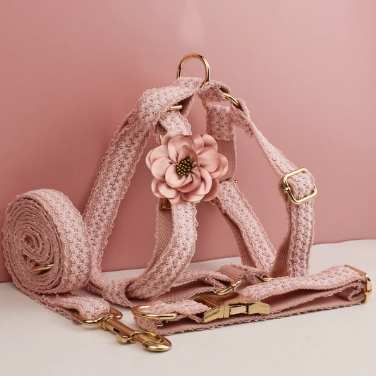 Harnais, laisse et fleur tissés roses à boucles dorées pour chien