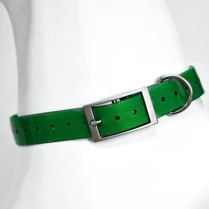 Collier en TPU imperméable pour grand chien