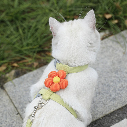 Harnais et laisse pour chat, décor fleur ou animal