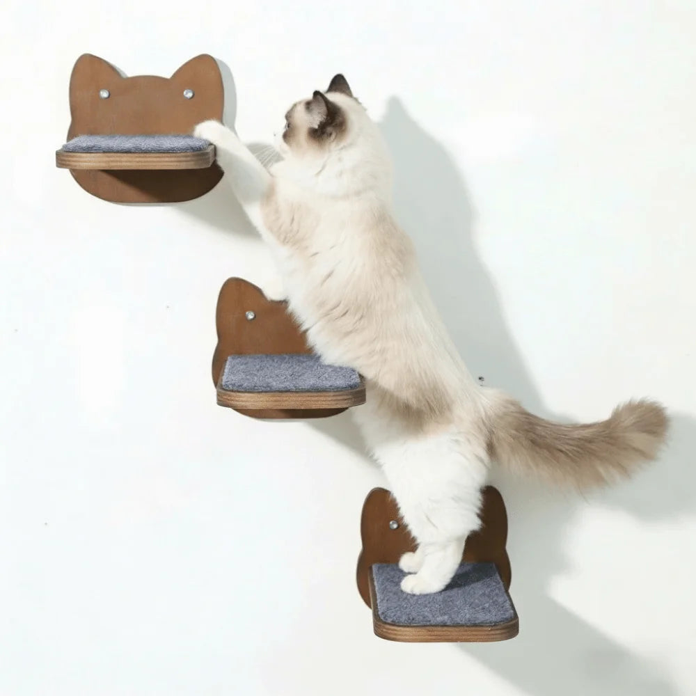 Étagère murale en bois pour chat