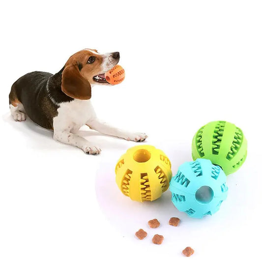 Balle en caoutchouc distributrice de friandises pour chien