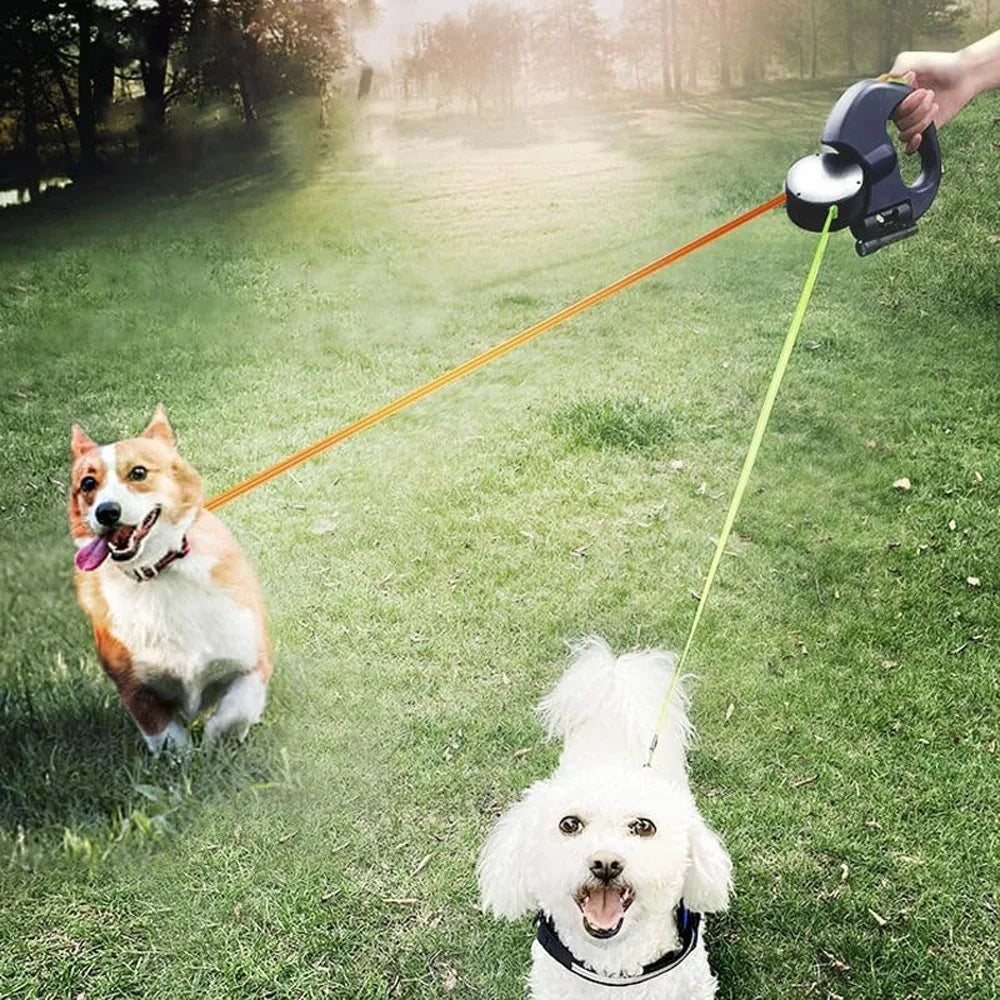 Laisse enrouleur double promenant deux chiens sur l'herbe