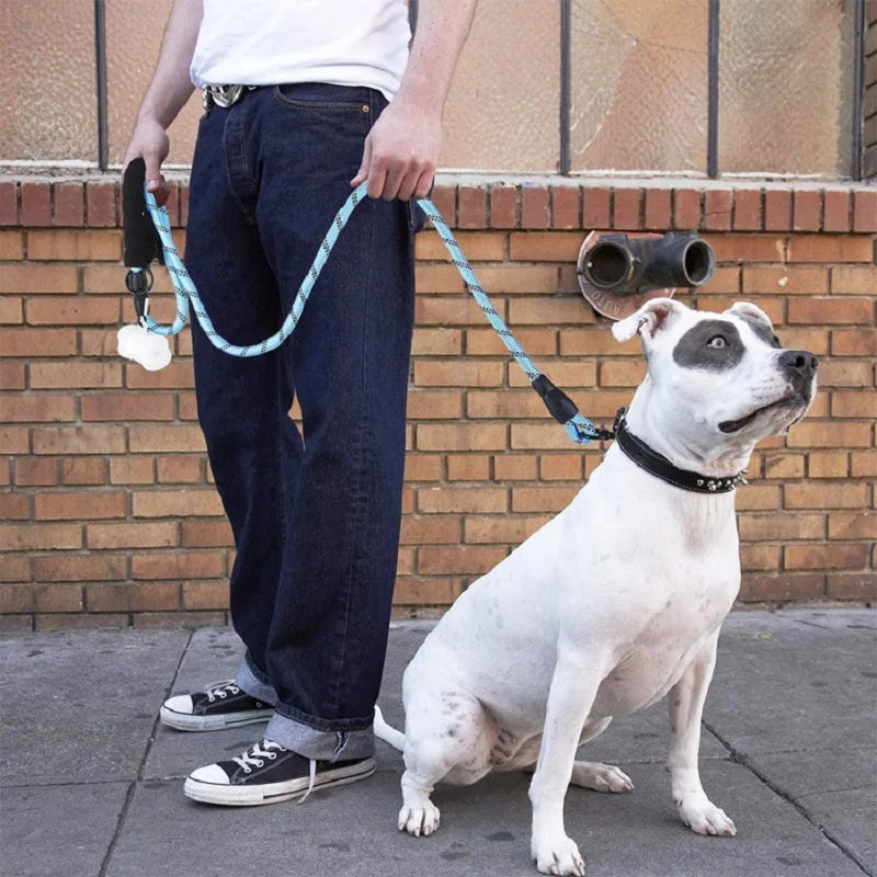 Chien blanc promené avec une laisse en corde bleue réfléchissante