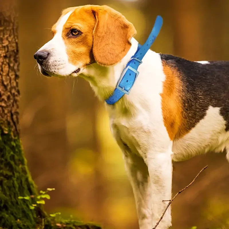 Collier imperméable en TPU pour grand chien, boucle en zinc