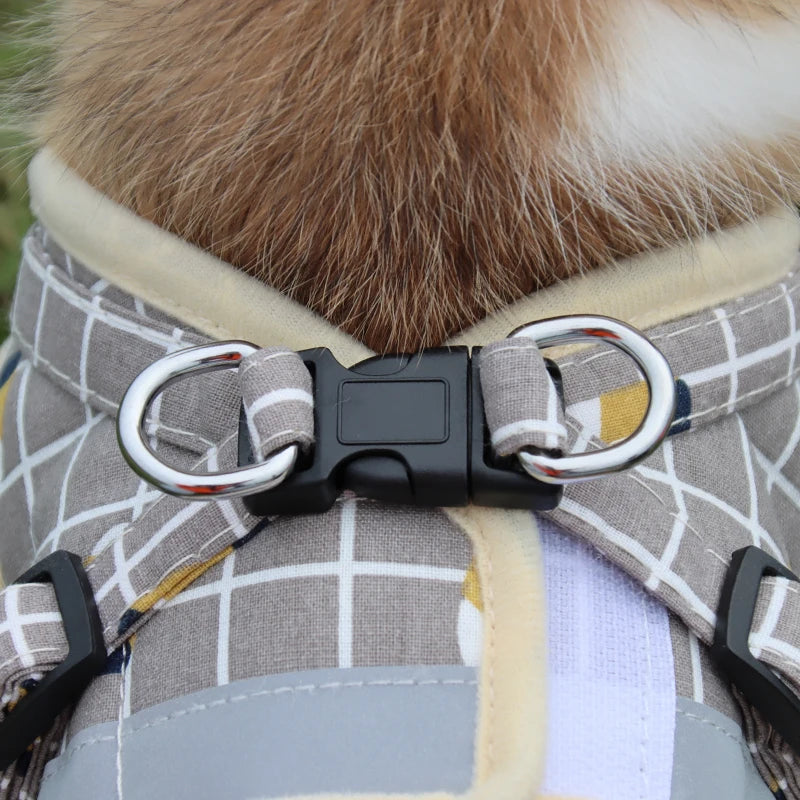 Harnais gilet à carreaux et laisse pour petit chien