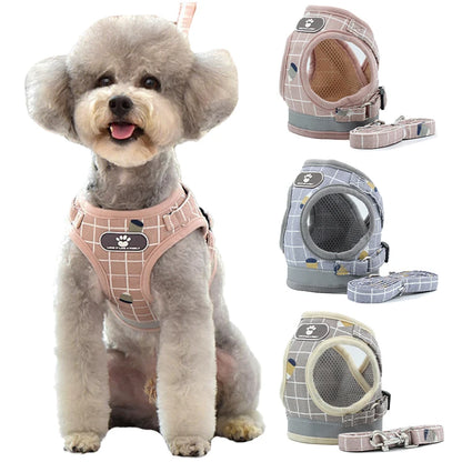 Caniche portant un harnais gilet à carreaux rose
