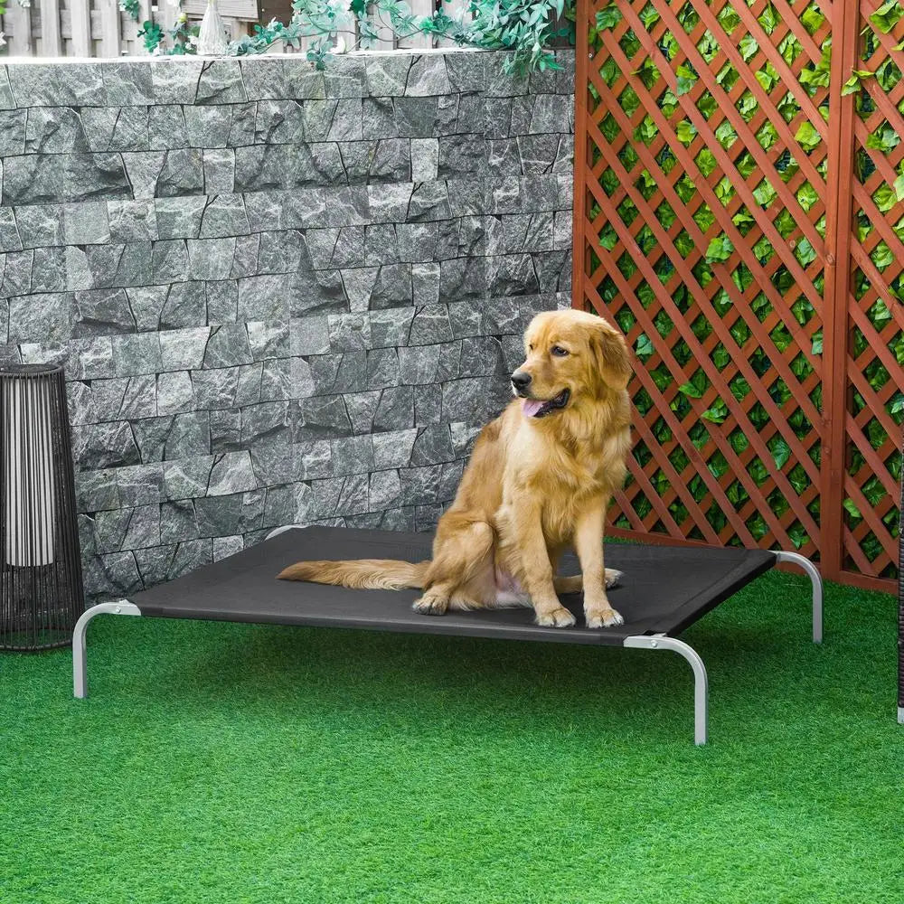 Chien allongé sur un lit surélevé en textilène micro-perforé