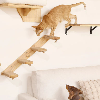 Ensemble mural d'escalade pour chat