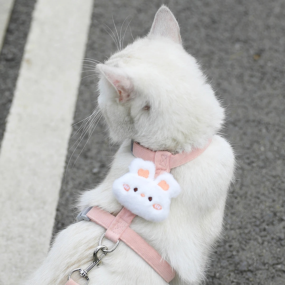Harnais et laisse pour chat, décor fleur ou animal