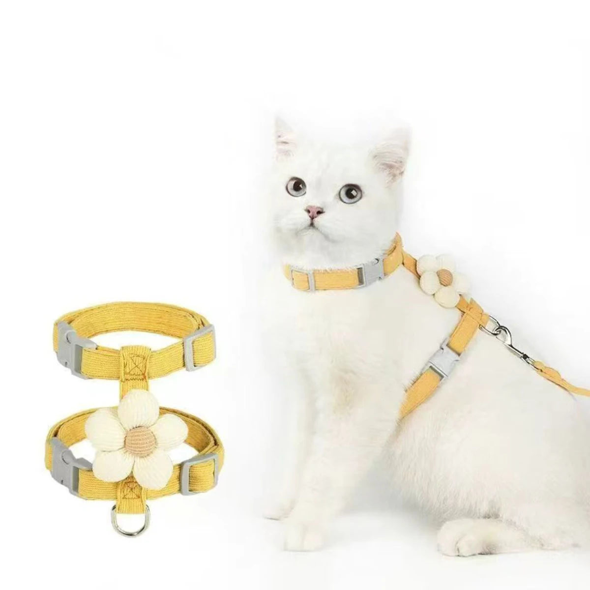 Harnais et laisse pour chat, décor fleur ou animal