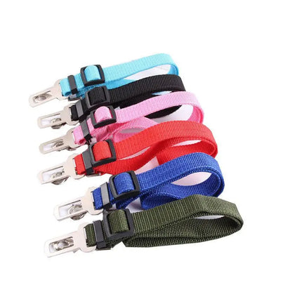 Ceinture de sécurité voiture pour chien