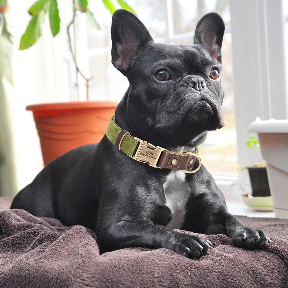 Collier en cuir PU personnalisable pour chien