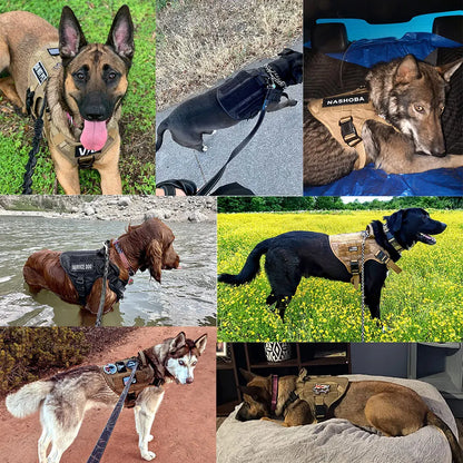 Harnais tactique pour grand chien, système MOLLE