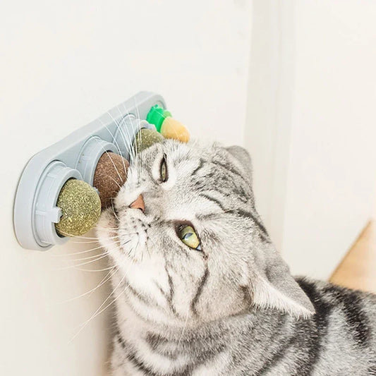 Boule d'herbe à chat rotative fixée au mur