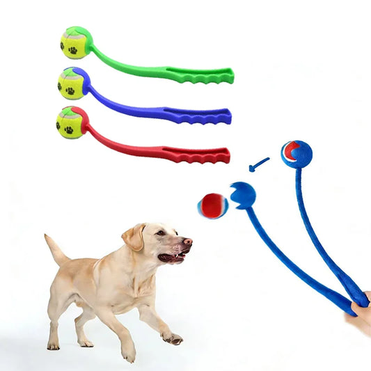 Lanceur de balle à coupelle pour chien